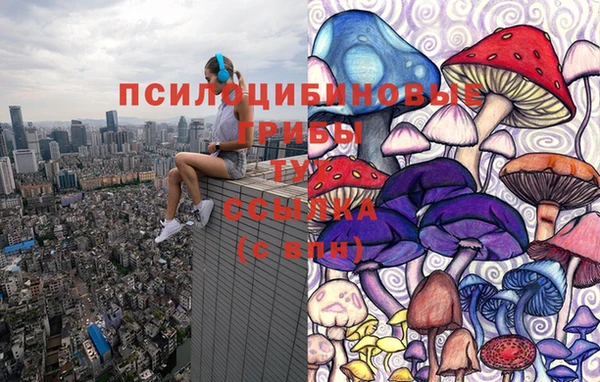 молекула духа Волосово