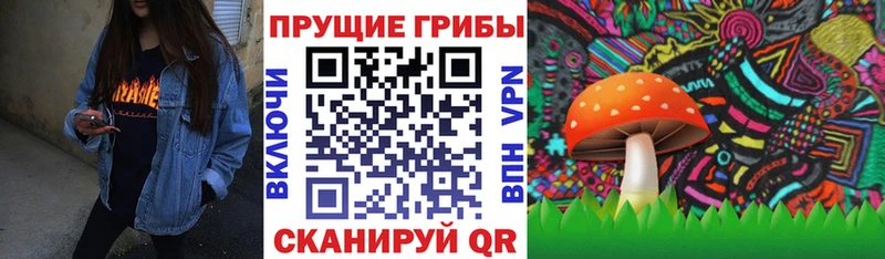 Купить закладки  Нарткала  Псилоцибиновые грибы MAGIC MUSHROOMS 